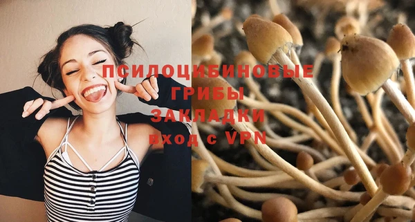 а пвп мука Бородино