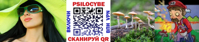 Псилоцибиновые грибы GOLDEN TEACHER  купить  сайты  Уссурийск 